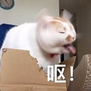 口口不要一天打游戏