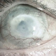 furry  №1 - steam id 76561199675383815