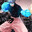 blue judas
