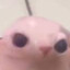 bingoos