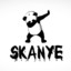 skyness