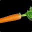 &quot;Carrot&quot;