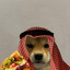 doge