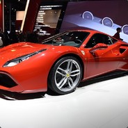 三楼刚刚用菊花