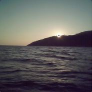 Robalo