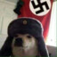 Perro Nazi