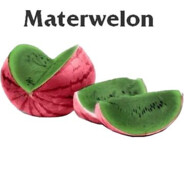 MATERWELON