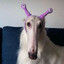 Ghastly Foogle