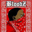 Bloodz243_*********