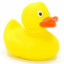 NumerousDuck787
