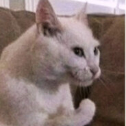 你的后面我在呢