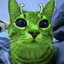 Keplar 45-B Cat