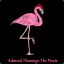 Flamingo the Pirate