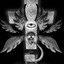 Biber