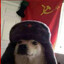 Commie Dog