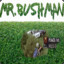 Mr.Bushman