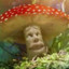 TchiTchinho Reino Fungi