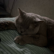 mode >3