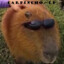 CapibaraLP