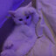Pixel
