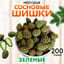 ШИШКИ(Сосновые)'s avatar