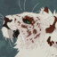 JustCat