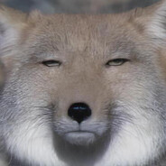 西藏的唇烟吞食者