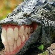 El Chompo