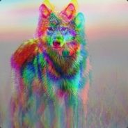 One man wolfpack - steam id 76561197965667250
