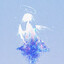 Avatar of Euclid