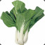 Pak choi