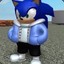 Sonic  とげとげしいです