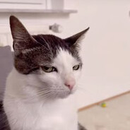 I eat bullets for breakfast