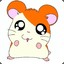 Hamster Boss 36 subs