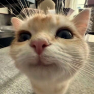 康师傅我只吃国产老干