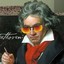 Beethoven 1kgrau