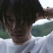 华莱士粉色海豹