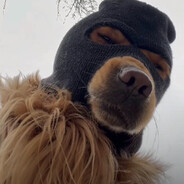 干嚼咖啡不加糖