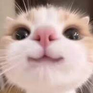 𝒳𝒴𝐸𝒮𝒪𝒮𝒫𝐸