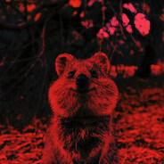 EVIL INTIMIDATING QUOKKA