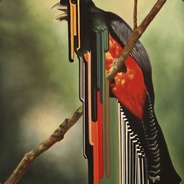 hawjetms - steam id 76561197968960064