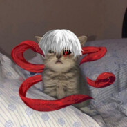 КОТИЙСКИЙ ГУЛЬ