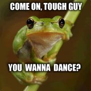 FroGGer.muted - steam id 76561197967660115