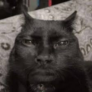 stevni qiyomatli akasi