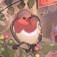 穷到吃灰的随风旅鸟