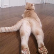 宝贝屁股抬高点