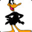 DAFFI DUCK