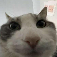 Данил Колбасенко