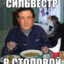 SylvesterВстоловой