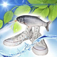 Creator_AllFish